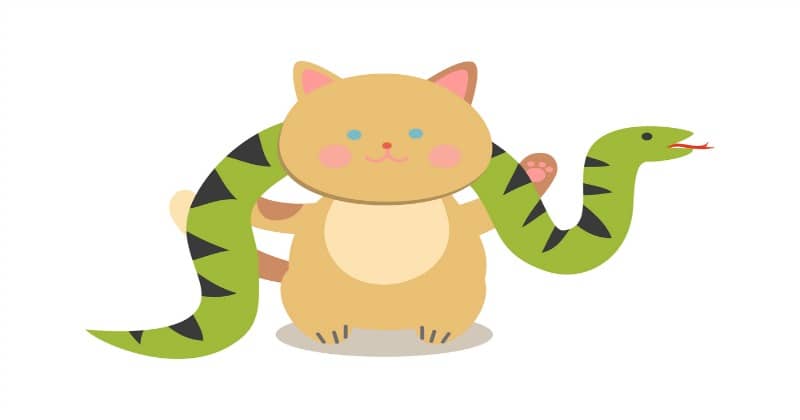 5 times cats were more talented than humanbeings!